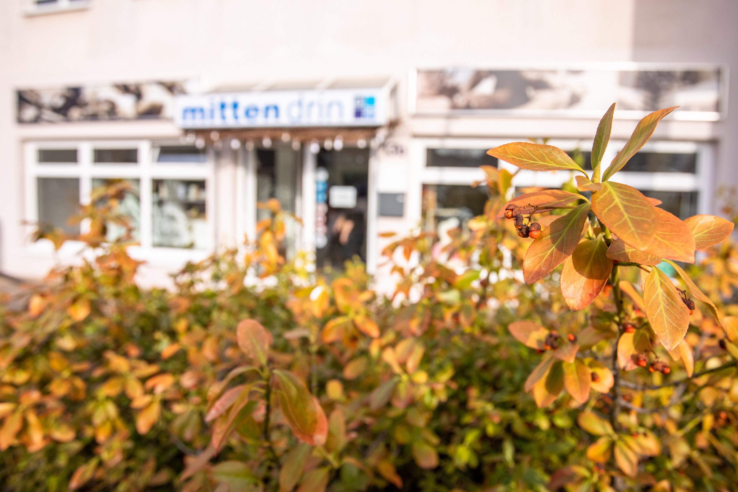 Werkstattladen mittendrin