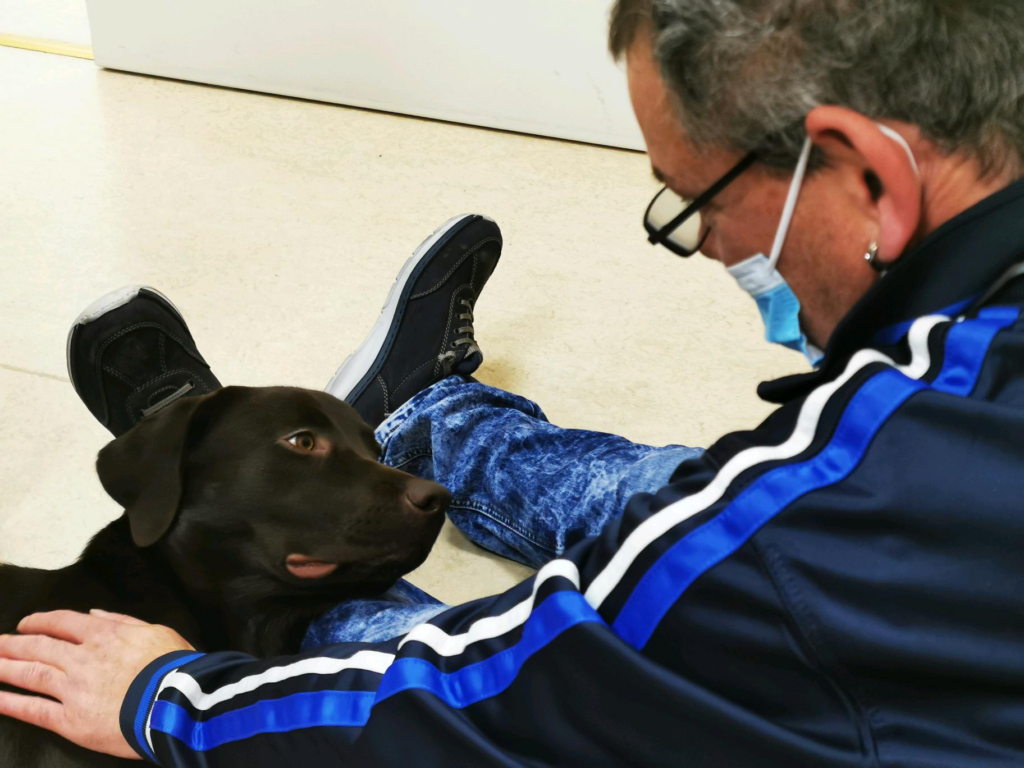 Therapiehund Baro mit einem Kollegen Therapiehund Baro mit einem Kollegen