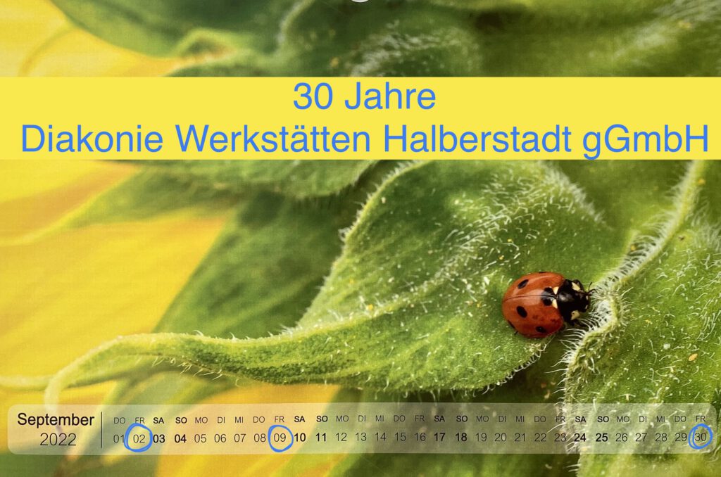 30 Jahre Diakonie Werkstätten Halberstadt gGmbH