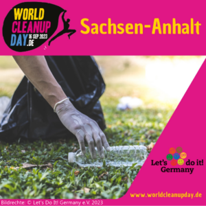Logo vom World Cleanup Day